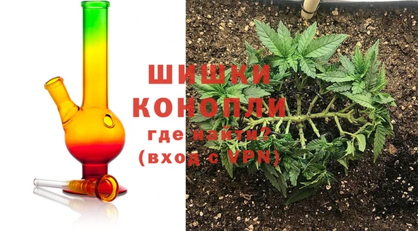 винт Нея