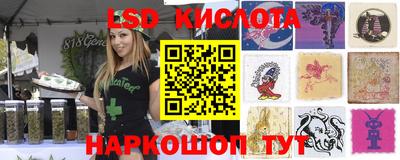 спиды Гагарин