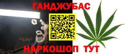 спиды Гагарин