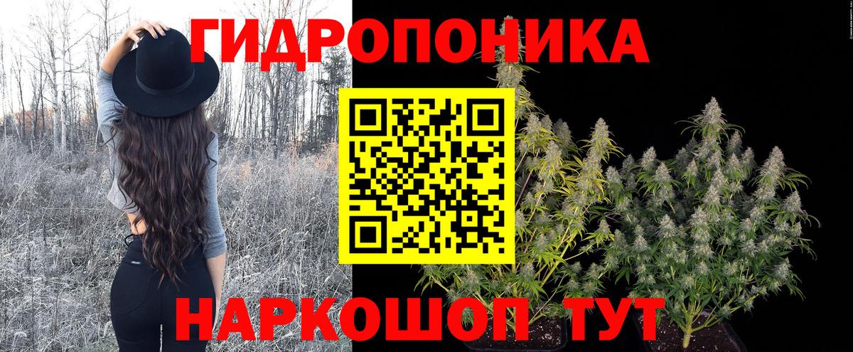 Бошки марихуана сатива  Канабис AK-47  Канабис ГИДРОПОН  Вход с VPN  Канабис OG Kush  Серпухов 